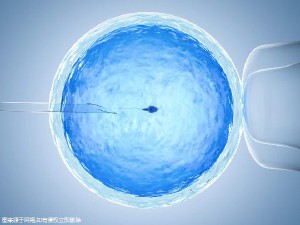 孕妈代妈应聘机构